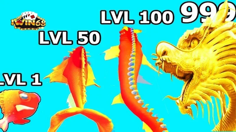 Giới Thiệu Game Cá Chép Hóa Rồng Iwin68 Đặc Sắc, Sống Động 6 Các biểu tượng trong game cá chép hóa rồng iwin68